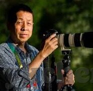 大象传媒破解版无限看-探索大象传媒的无限可能，合法途径与内容价值