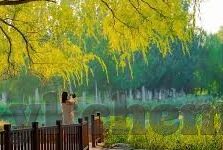 糖心app免费观看网站-甜蜜视界，深入了解糖心APP免费观看体验